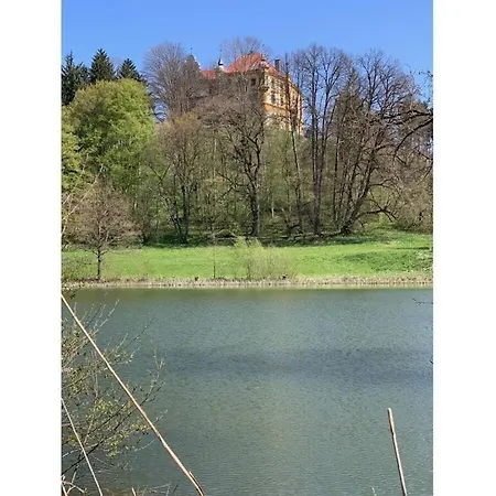 Holiday home Gut Hornegg Am Spiegelsee - Good Luise *